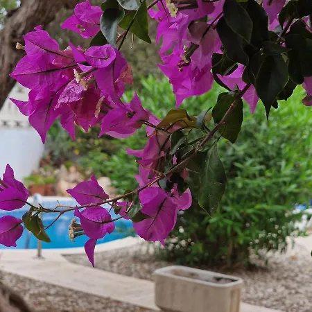 Nyaraló 